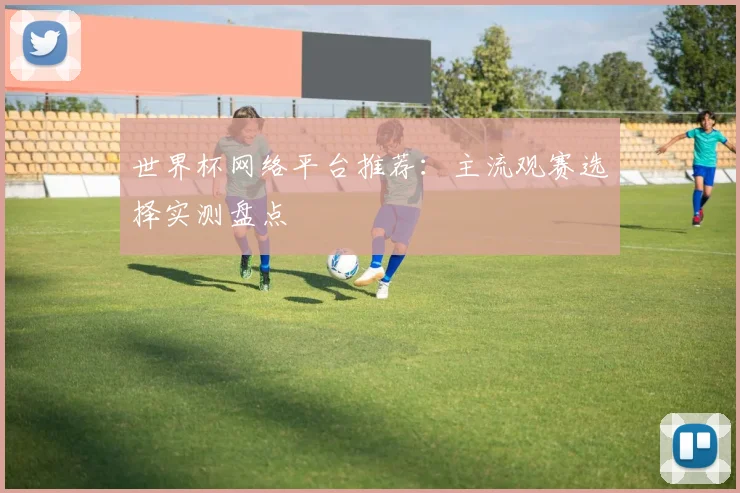 世界杯网络平台推荐:主流观赛选择实测盘点