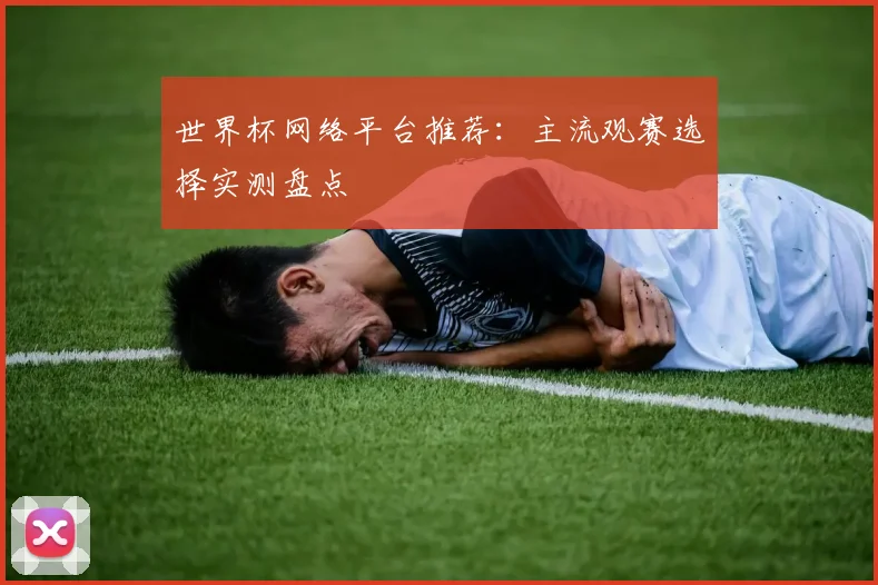 世界杯网络平台推荐:主流观赛选择实测盘点