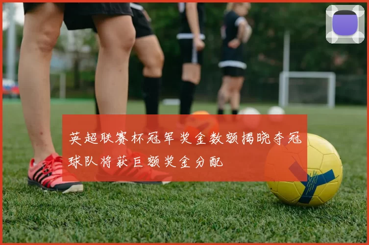 英超联赛杯冠军奖金数额揭晓夺冠球队将获巨额奖金分配
