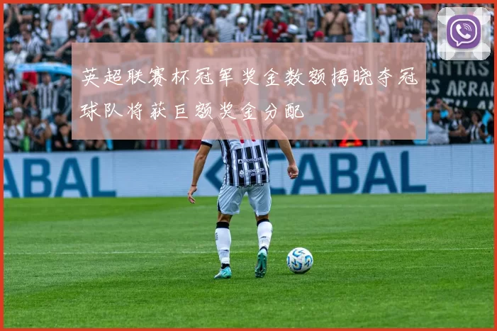 英超联赛杯冠军奖金数额揭晓夺冠球队将获巨额奖金分配