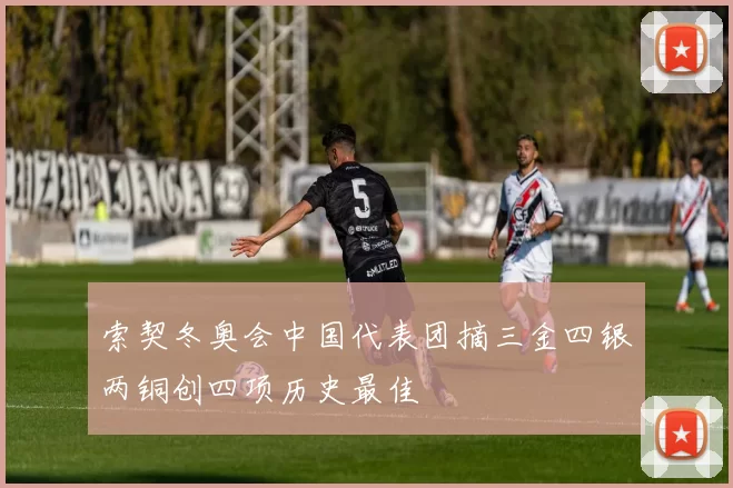 索契冬奥会中国代表团摘三金四银两铜创四项历史最佳