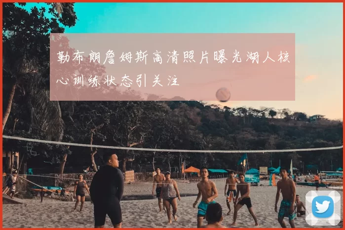 勒布朗詹姆斯高清照片曝光湖人核心训练状态引关注