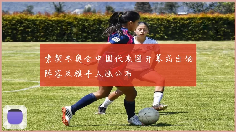 索契冬奥会中国代表团开幕式出场阵容及旗手人选公布